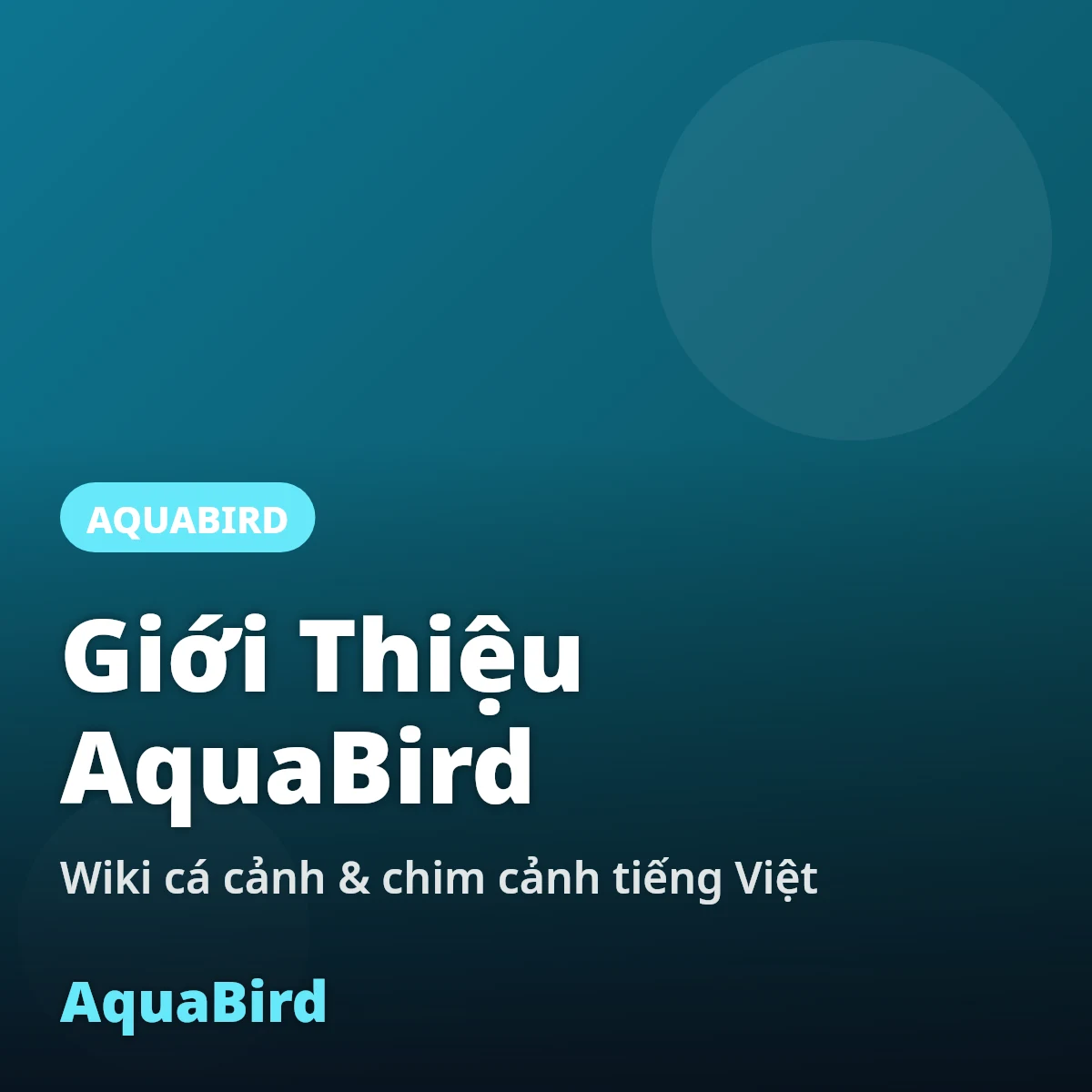 Giới thiệu AquaBird