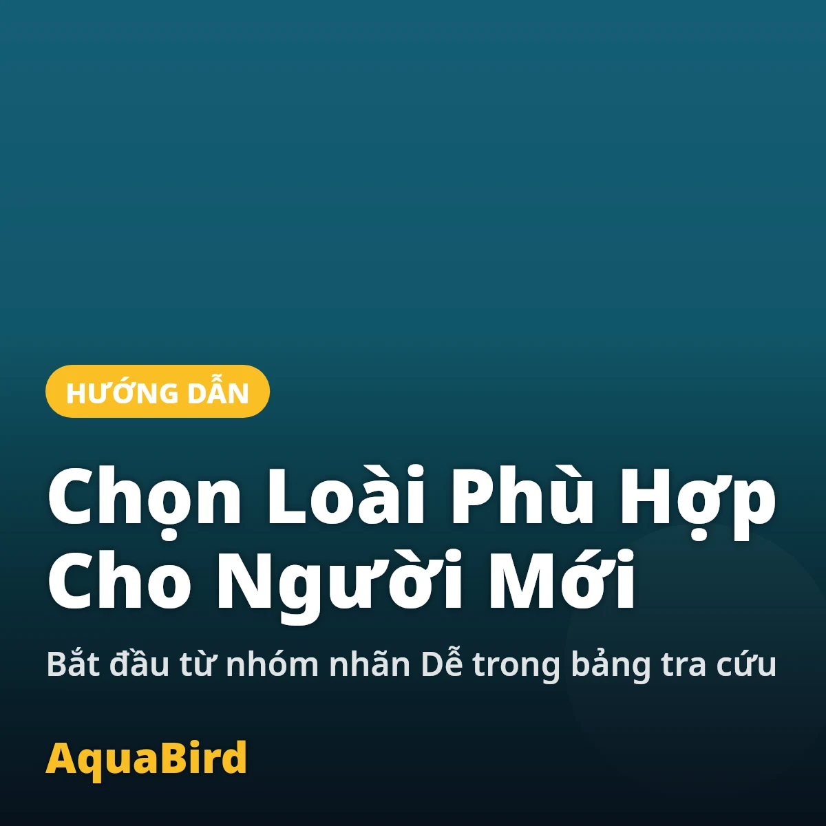 Chọn loài cá cảnh hoặc chim cảnh phù hợp cho người mới